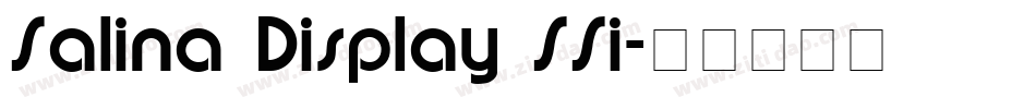 Salina Display SSi字体转换
